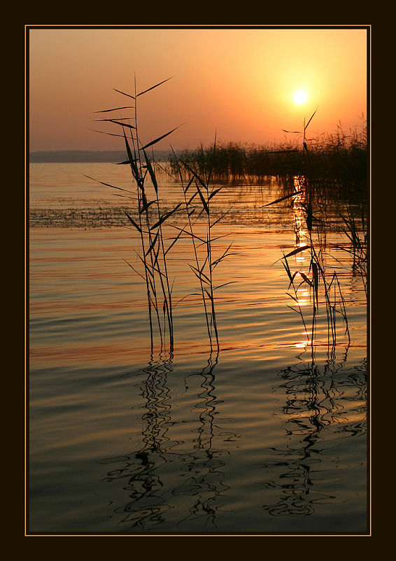 фото "Reflexs of an early morning" метки: пейзаж, вода, закат