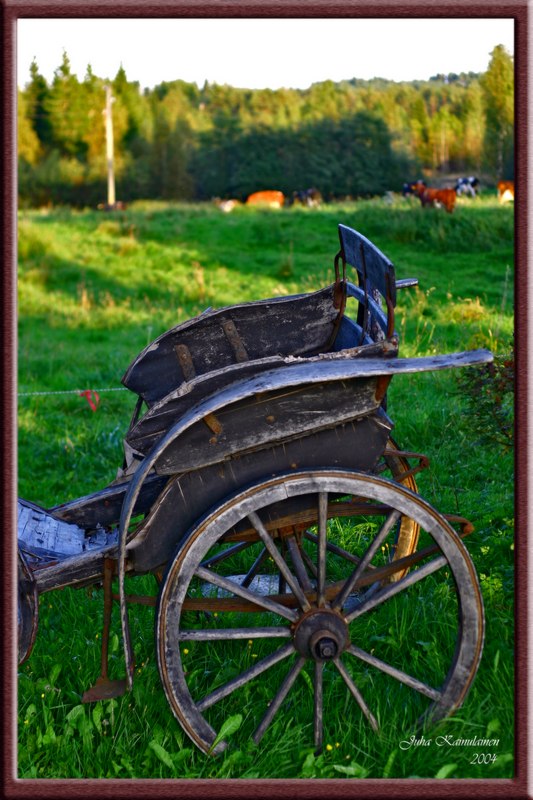 photo "Cart & Pasture" tags: nature, pets/farm animals