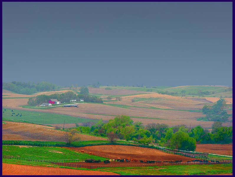 photo "Best bring in the cattle" tags: travel, landscape, North America