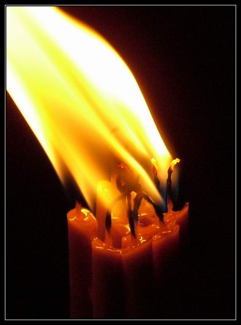 photo "Sacred light..." tags: macro and close-up, misc., 