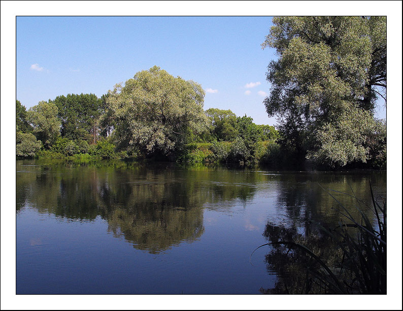 photo "etude about a summer..." tags: landscape, summer, water