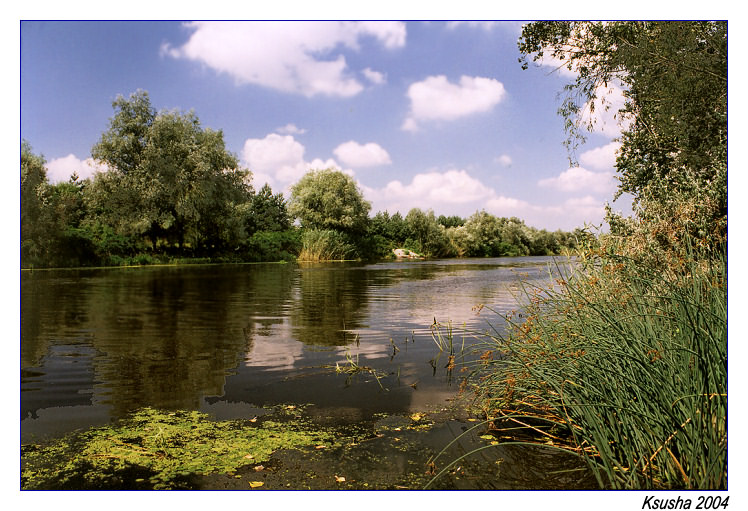 photo "Orel" tags: landscape, summer, water