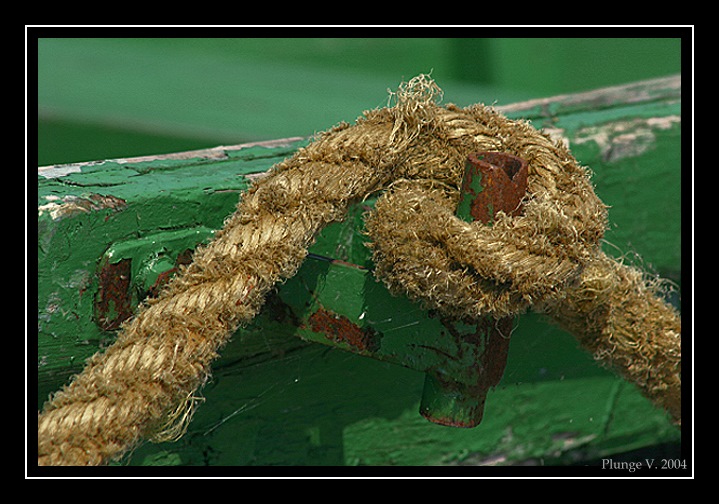 photo "... rope ..." tags: macro and close-up, montage, 