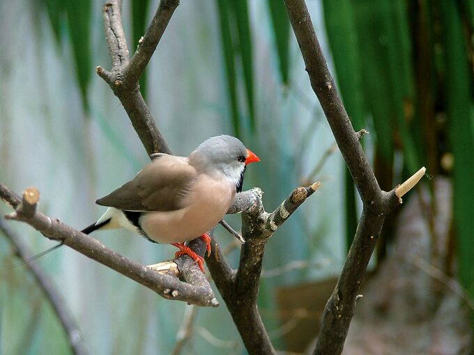 photo "In Warsaw zoo..." tags: nature, wild animals