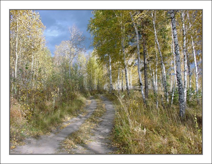 photo "autumn" tags: landscape, autumn