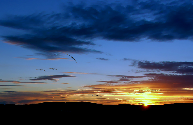 photo "Last beam" tags: landscape, sunset