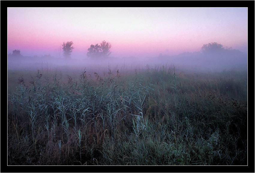 фото "Утро на болоте..." метки: пейзаж, закат, осень