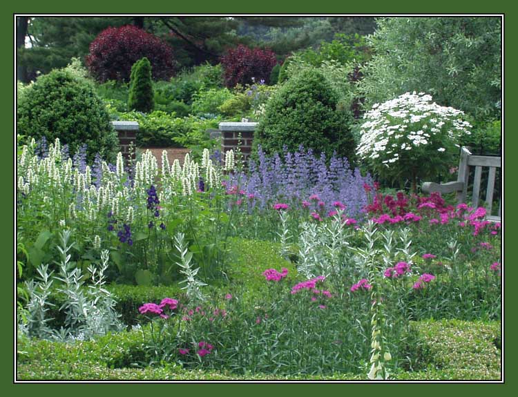 photo "Perennials garden at the NYBG" tags: landscape, nature, flowers, spring