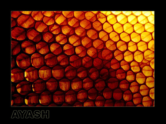 фото "Texture !!" метки: макро и крупный план, абстракция, 