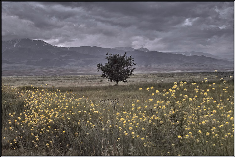 photo "*****" tags: landscape, mountains