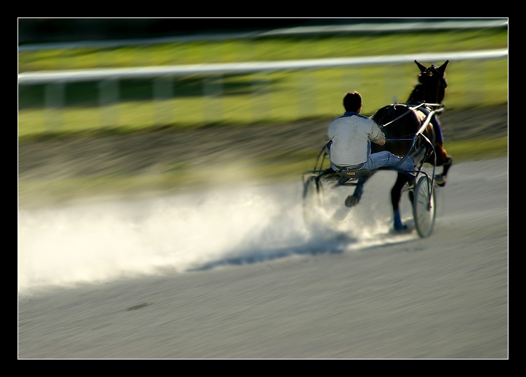 photo "Rider" tags: sport, 