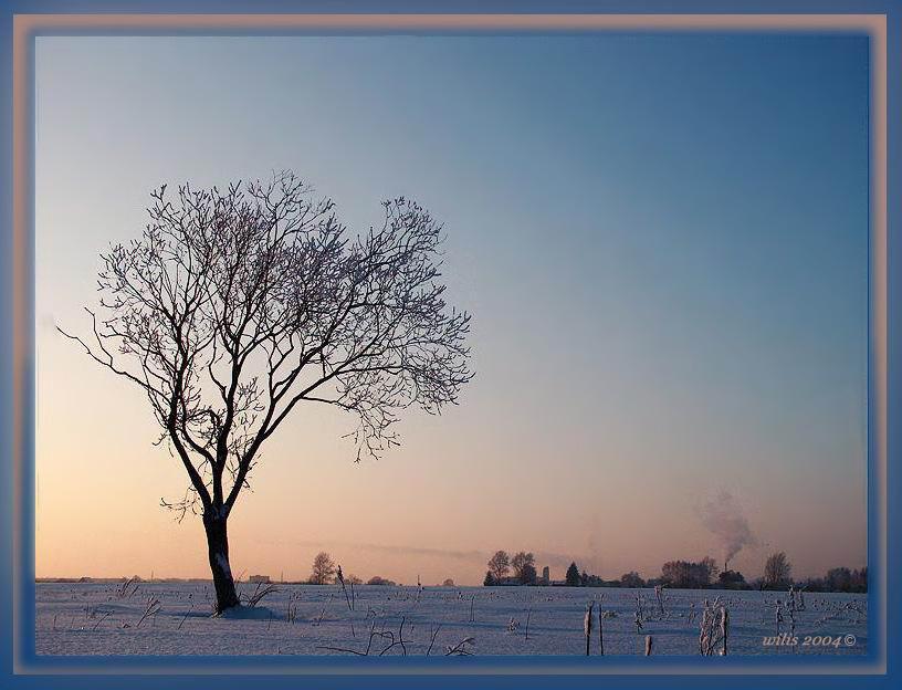 photo "Morning of colour of winter" tags: landscape, winter