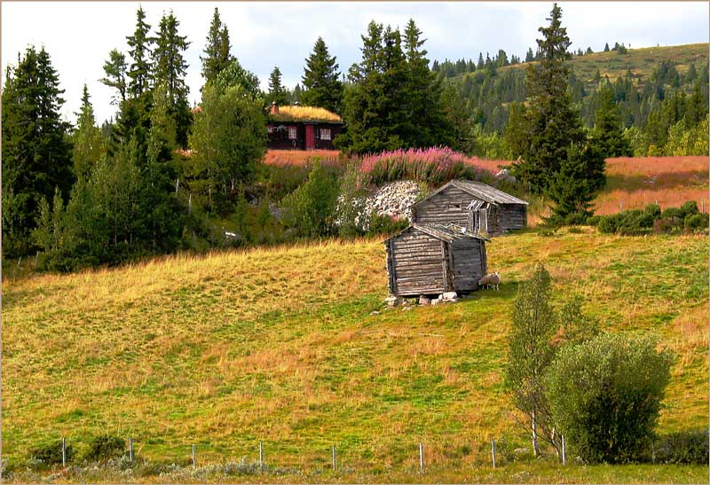 фото "Soon september..." метки: пейзаж, лето