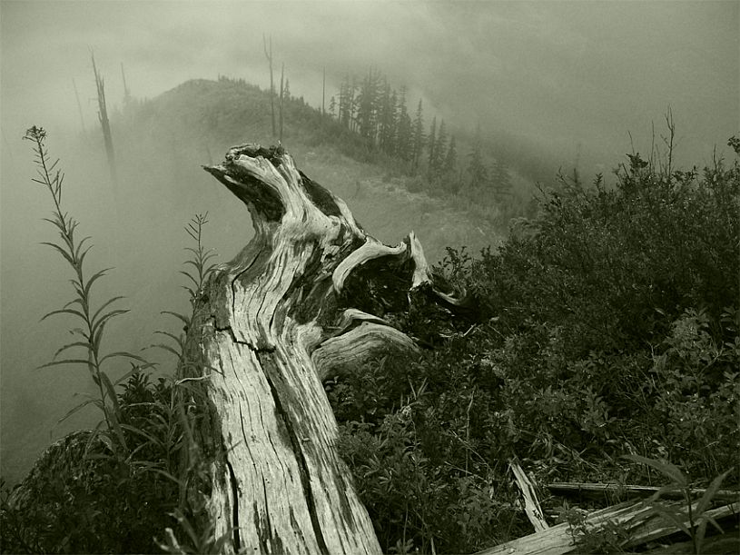 photo "High Lonesome - Part Two" tags: landscape, clouds, mountains
