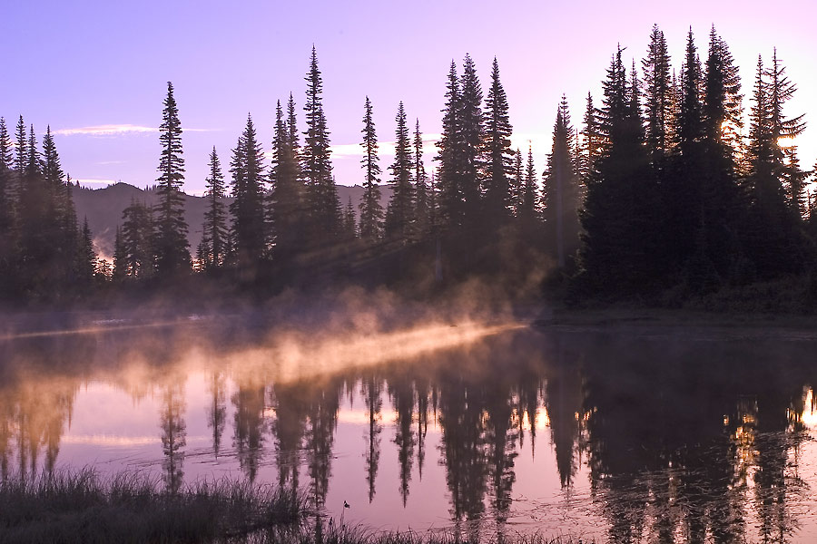 photo "The First Beam" tags: landscape, forest