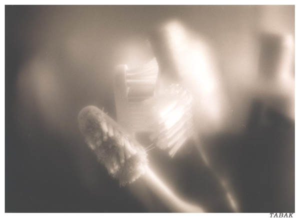 photo "Morning" tags: black&white, 
