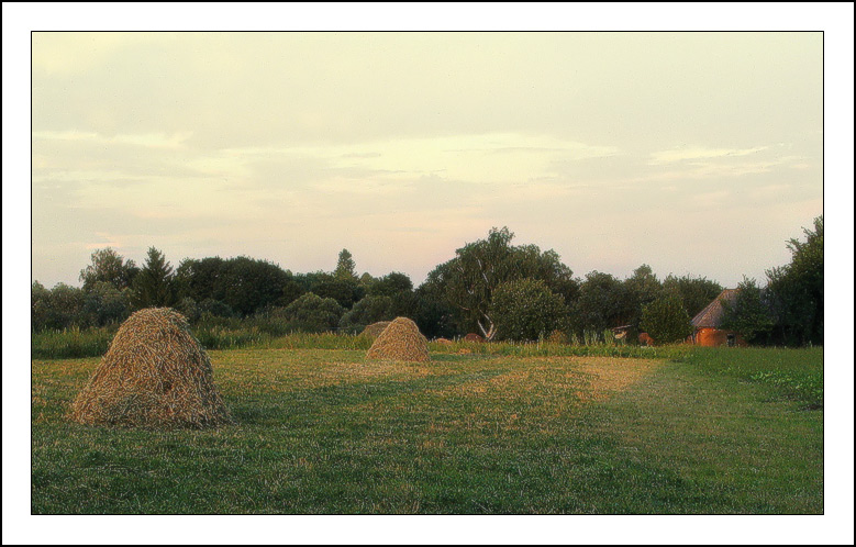 photo "evenings on farm..." tags: landscape, summer