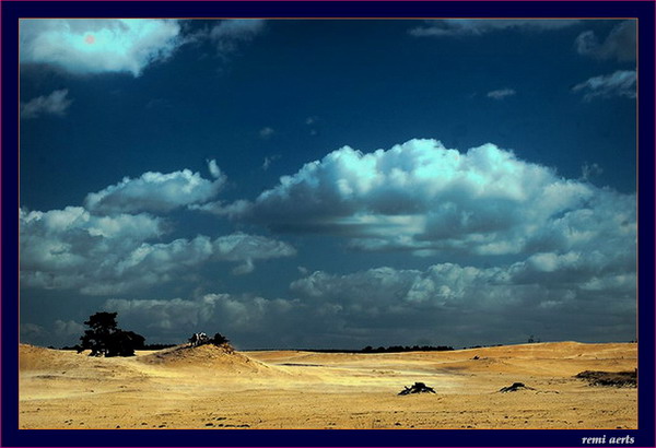 photo "De Veluwe Netherland 12 sept.2004" tags: landscape, clouds