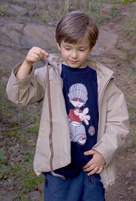 photo "Too long worm" tags: portrait, nature, children, wild animals