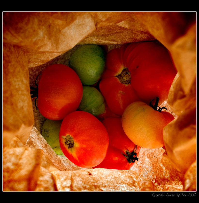 photo "Veggies in a Bag" tags: genre, 