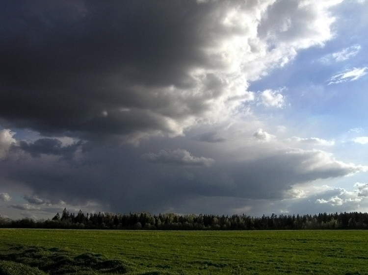 photo "Before a thunder-storm" tags: landscape, summer
