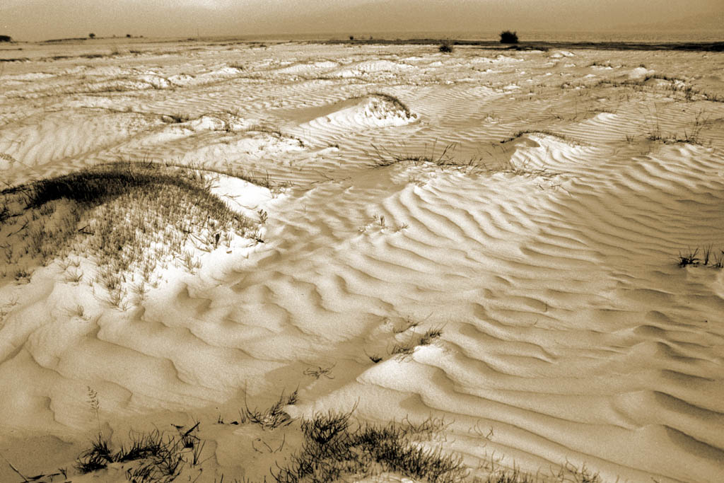 photo "Wind + sand + sunset light" tags: landscape, black&white, sunset