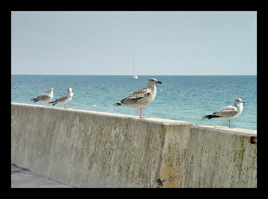 photo "Again about the sea" tags: nature, 