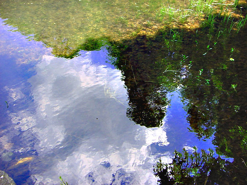 photo "Reflection of autumn" tags: misc., landscape, autumn