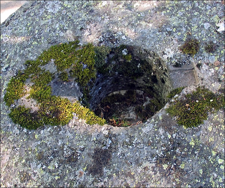 photo "Old millstone" tags: travel, nature, Europe, flowers
