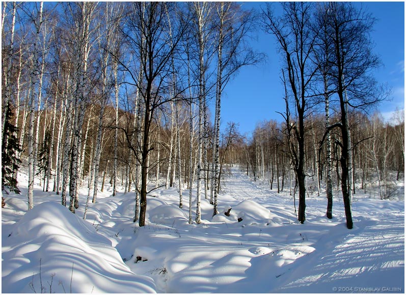 photo "Winter Story" tags: landscape, forest, winter