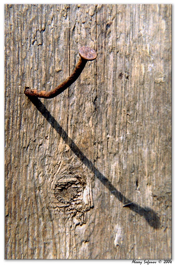 photo "Nail and its shadow" tags: genre, macro and close-up, 