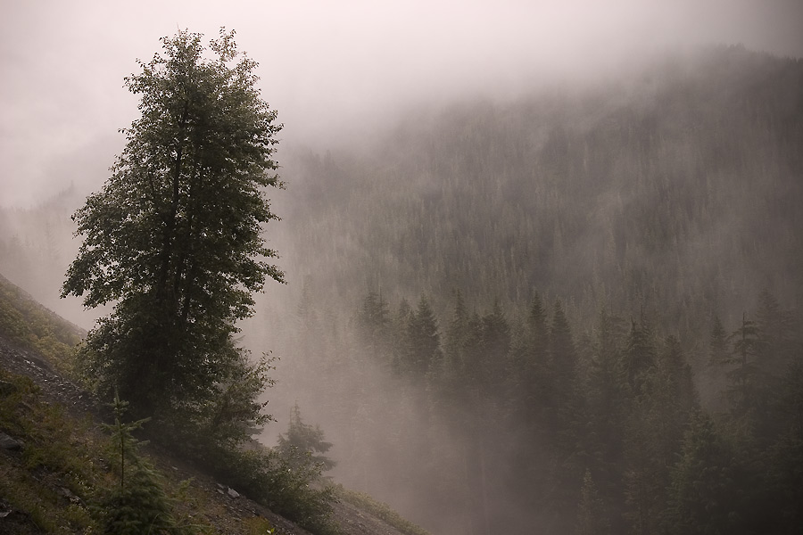 фото "Lost Mountain" метки: пейзаж, лес