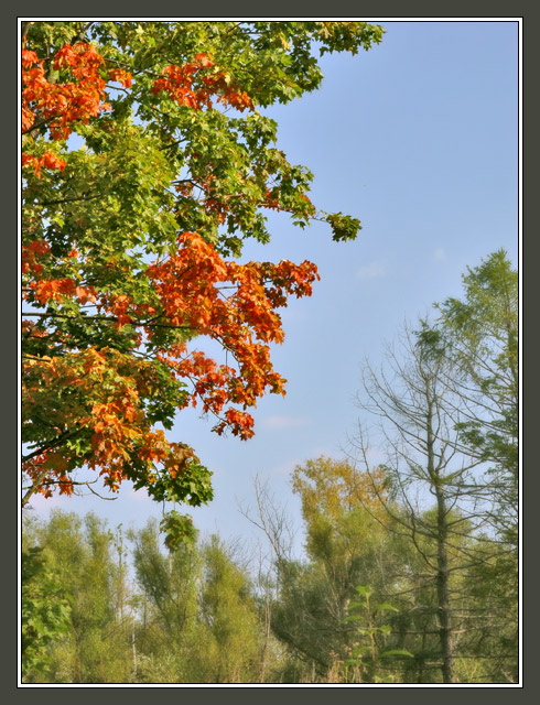 photo "September Colors" tags: landscape, autumn