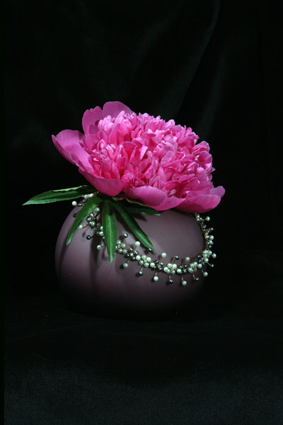 photo "Peony" tags: still life, 