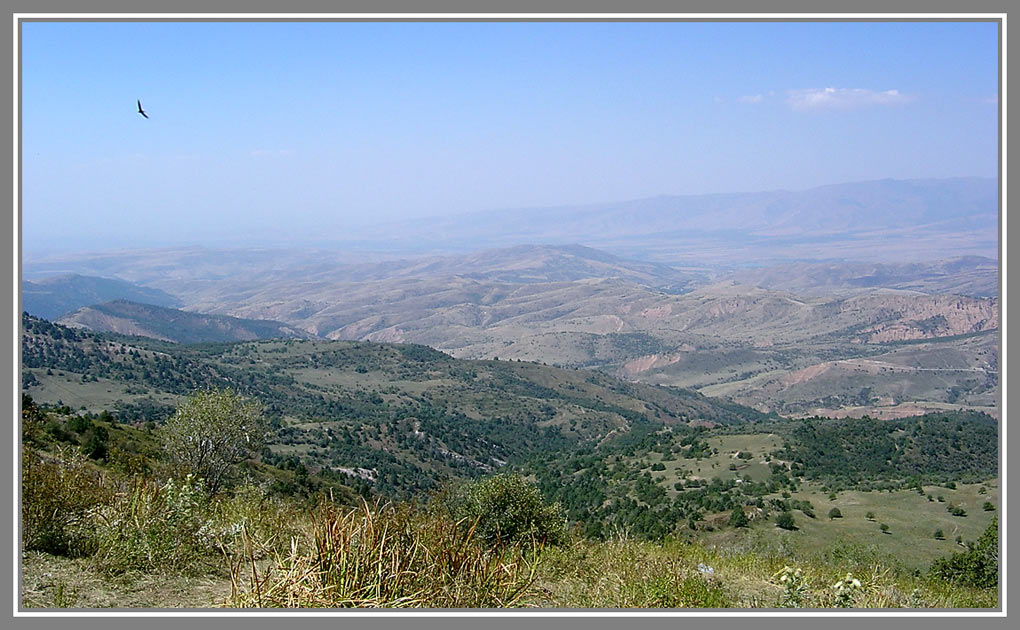 photo "freedom" tags: landscape, mountains, summer