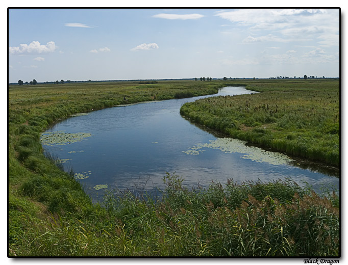 photo "Sight from a roadside #3" tags: landscape, summer, water