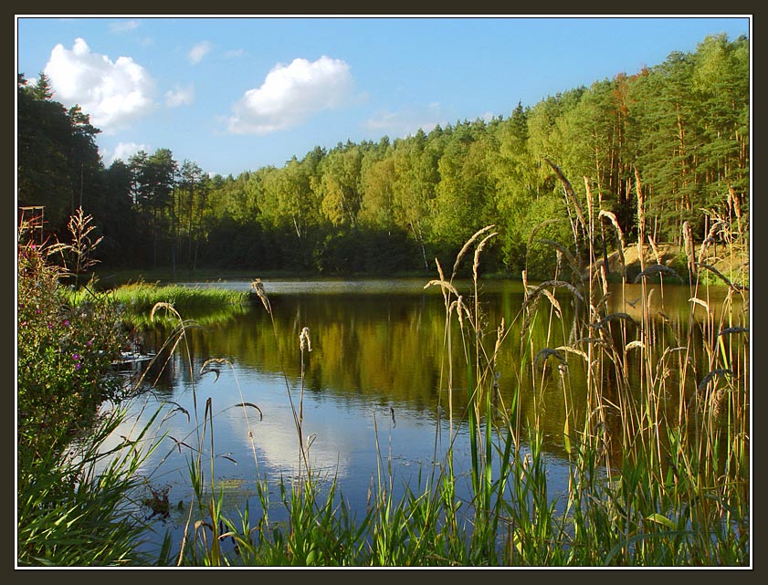 photo "Sunshine september landscape with lake" tags: landscape, autumn