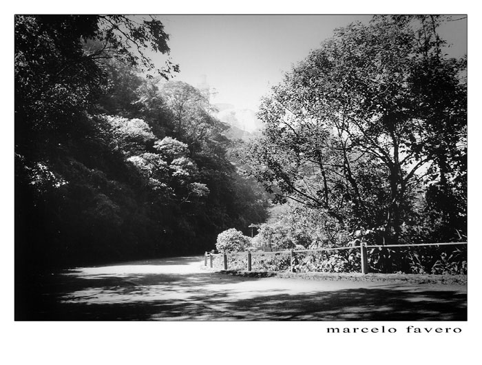 фото "Estrada Velha #2" метки: разное, 