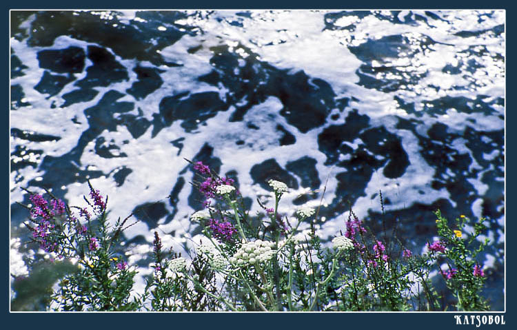 фото "Наблюдая стихию" метки: пейзаж, природа, вода, цветы