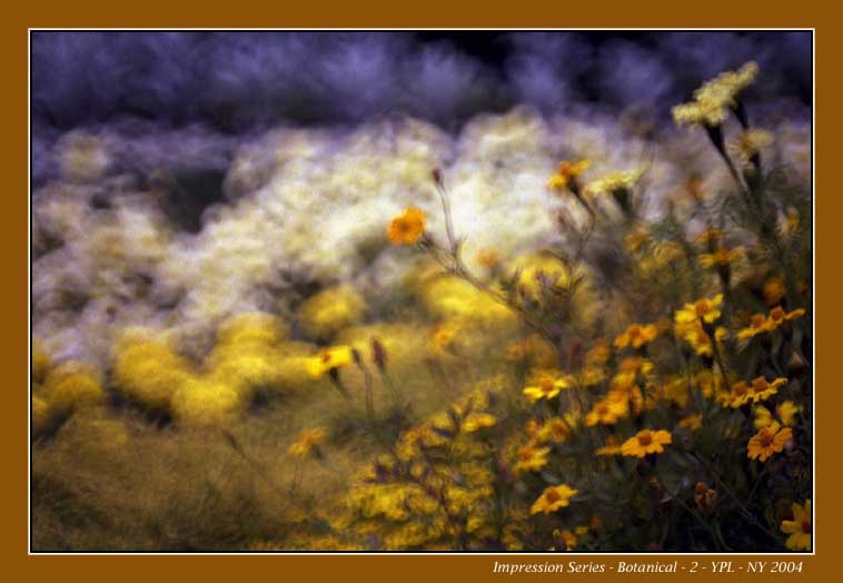 photo "Impression 2 at the NYBG" tags: nature, abstract, flowers