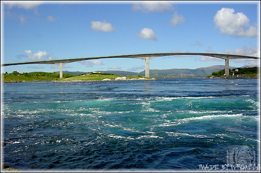 photo "The bridge" tags: nature, 