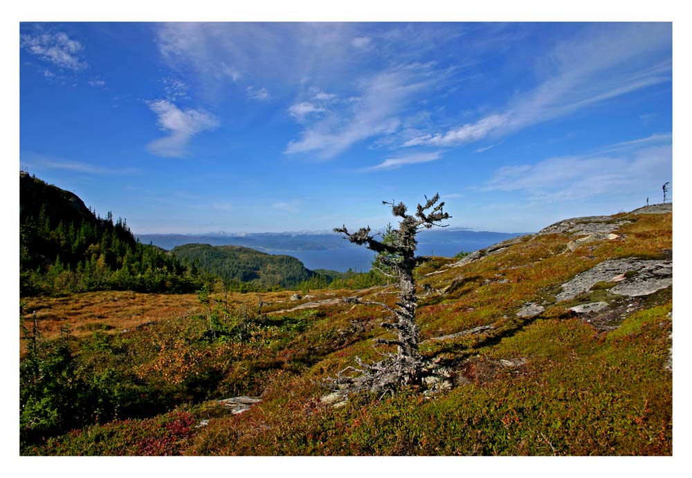 photo "Fall in Norwegian mountain" tags: landscape, autumn