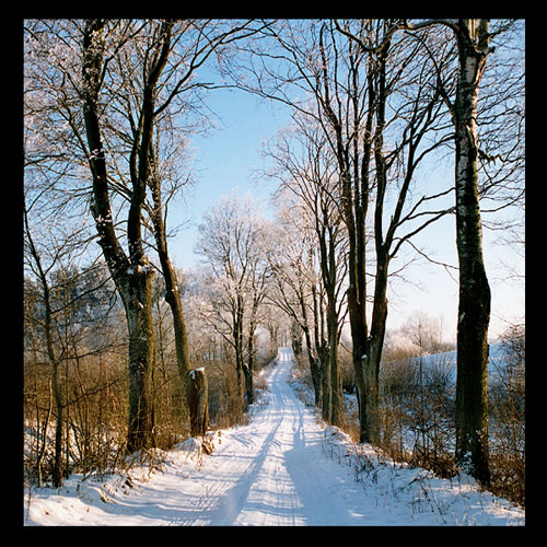 photo "Warmia 4" tags: landscape, winter