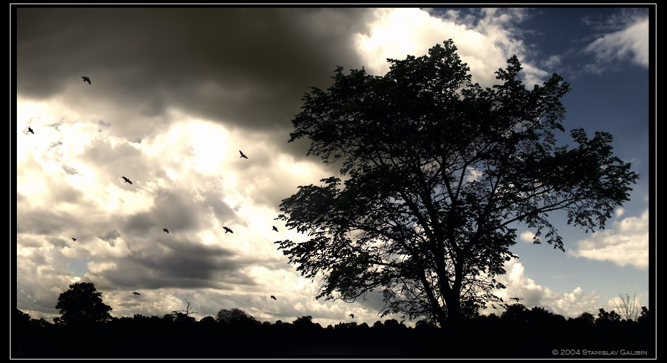 photo "Before the storm" tags: landscape, summer