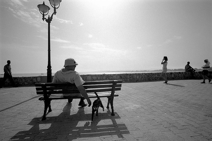 photo "***" tags: black&white, genre, 