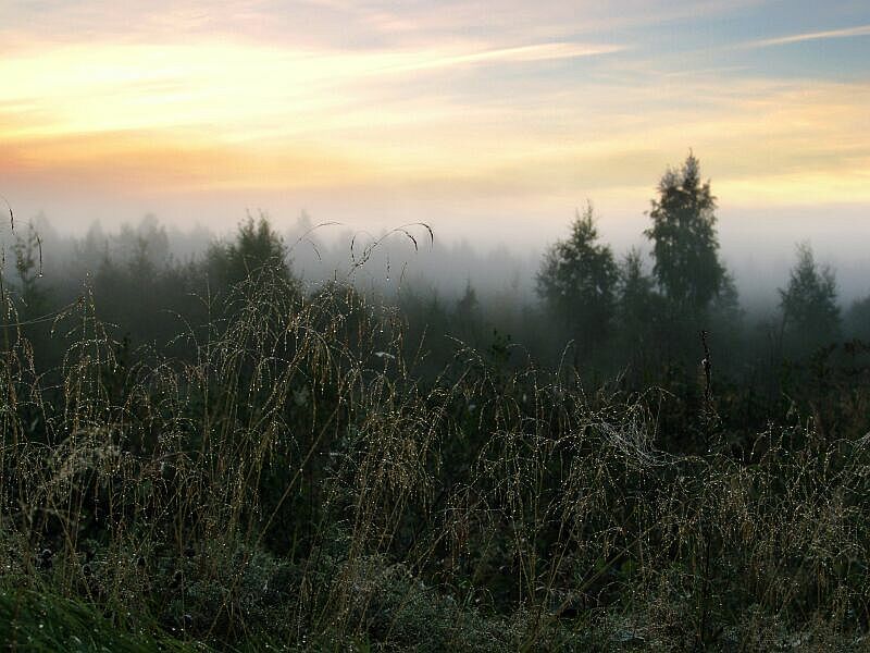photo "Morning foggy" tags: misc., 