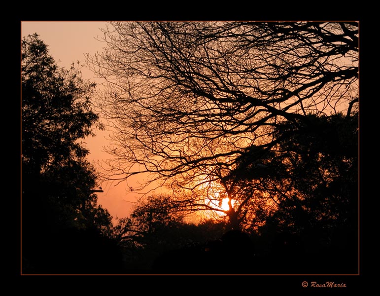 фото "Web Sunset" метки: путешествия, пейзаж, Южная Америка, закат