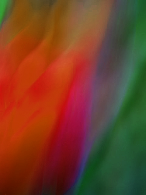 photo "Flow" tags: abstract, still life, 