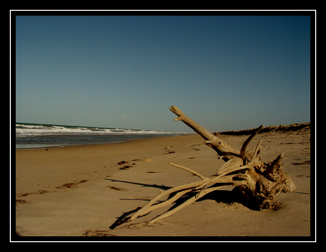 фото "Pedra do Sal Beach, PI, Brazil" метки: путешествия, пейзаж, Южная Америка, вода