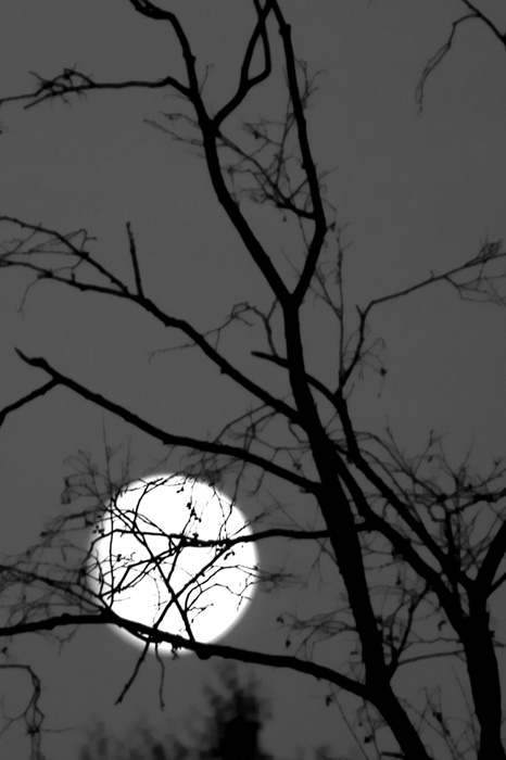 photo "Moon night" tags: landscape, black&white, night